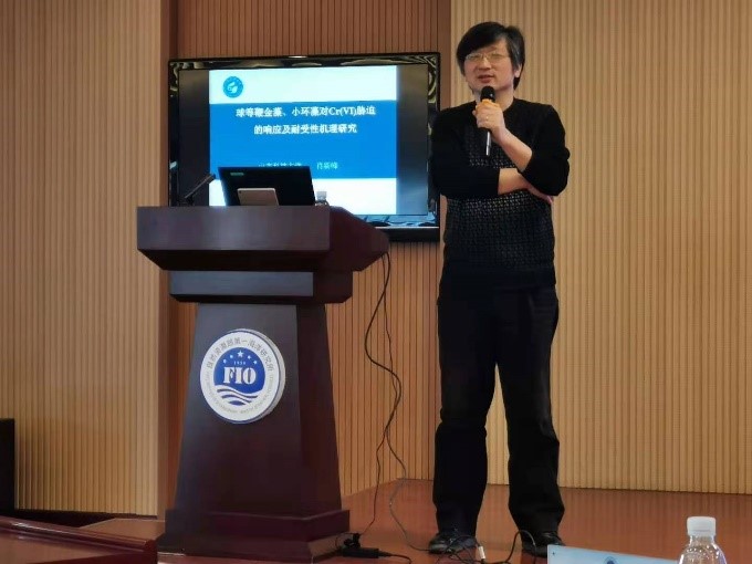 中文色情小说